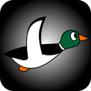 DuckHunt icon