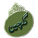 گلچین icon