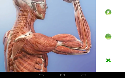 Visual Anatomy Free - Download | Install Android Apps | Cafe Bazaar