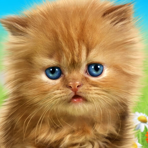 Talking Baby Cat Talking Game For Kids For Android Download Cafe Bazaar