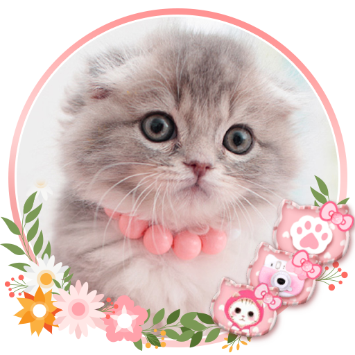   Cute Cat  Live Launcher Theme  3D  Wallpapers  