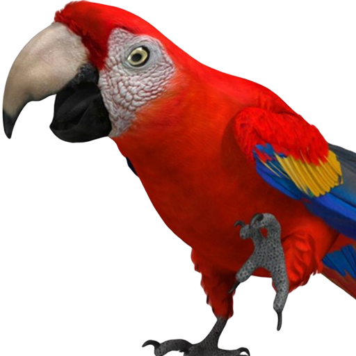 copy parrot app