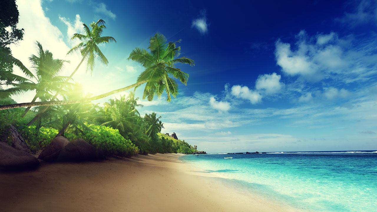 Beach Live Wallpaper in Cafe Bazaar for Android · Cafe Bazaar, Android