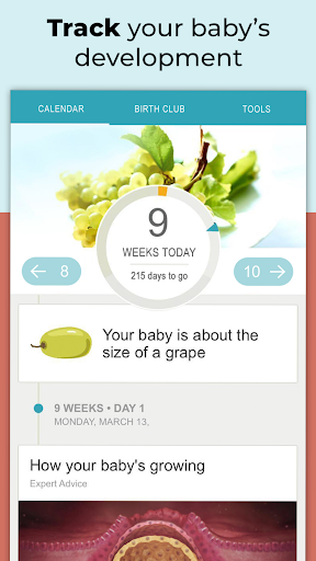 pregnancy countdown to due date