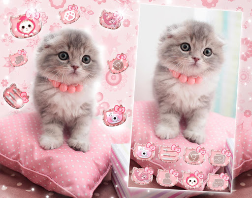   Cute Cat  Live Launcher Theme  3D  Wallpapers  