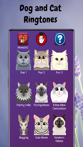 cat ringtones for android