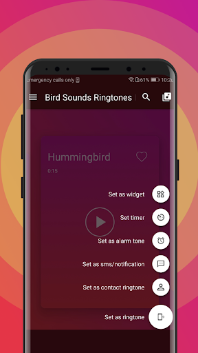 koel bird sound ringtone free download