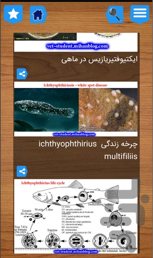 اندروید ماهی