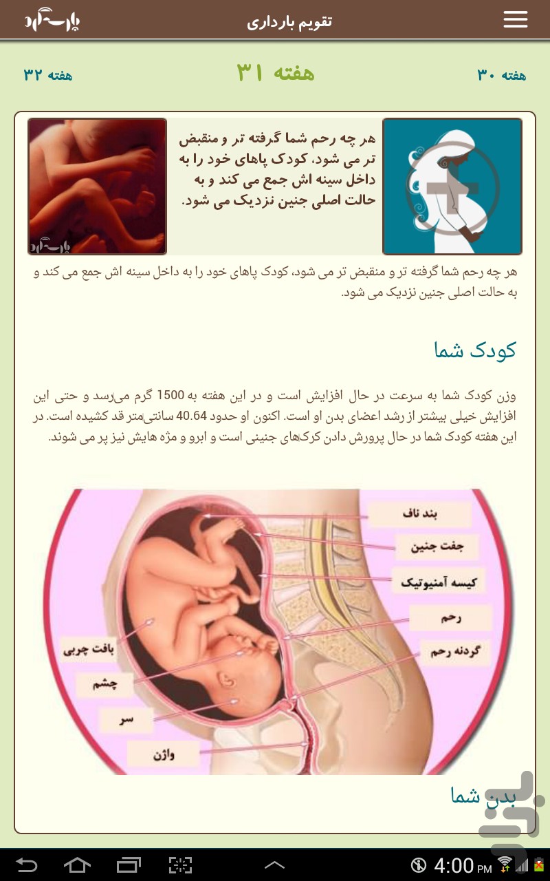 دانلود راهنمای جامع بارداری پارسه گرد