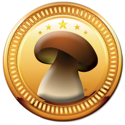 آشپزی با قارچ(غذاهای قارچی)