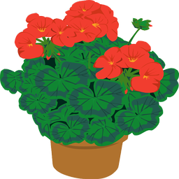 گل و گیاه آپارتمانی