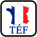 آزمون TEF
