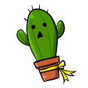 everything about cactuses