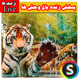 Play Zoos