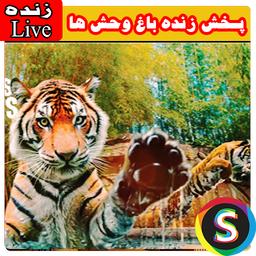 پـخش زنده بـاغ وحـش ها