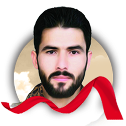 از عشق تا دمشق (شهید رضا دامرودی)