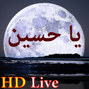 پس زمینه زنده یا حسین HD