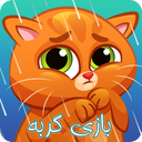 بازی گربه