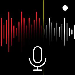 Voice Recorder