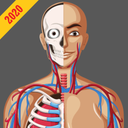 Anatomy Guide (Pocket Book)