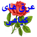 عرق های گیاهی