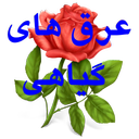 araghha
