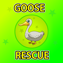 Goose Rescue From Cage