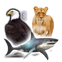 Learn Animals and Birds Sounds