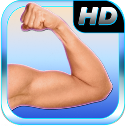 Arm Fitness: Bicep & Triceps