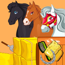 Horse Grooming Salon