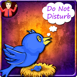 Do Not Disturb