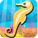 Seahorse Hidden Objects Game