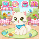 My Sweet Kitty Groom and Care