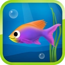 Best Hungry Fish