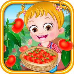 Baby Hazel Tomato Farming