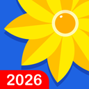 Gallery: Photo Gallery, Album