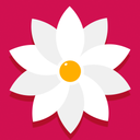 Gallery: Photo Gallery, Album