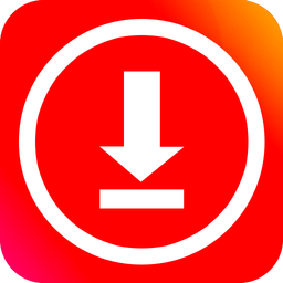 Video Downloader - Story Saver