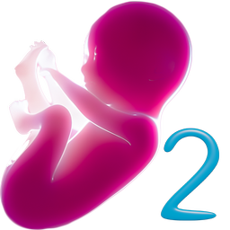 Alima's Baby 2 (Virtual Pet)