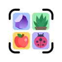 All Scanner: AI Identifier
