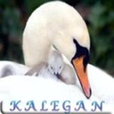 شارژ یک / کالگان شارژ