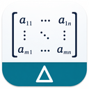 Matrix Determinant Calculator