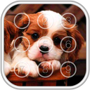 Puppy Dog Pin Lock Screen