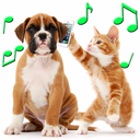 Animal Ringtones