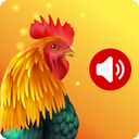 Animal Ringtones - Animal Wallpaper Bird Ringtones