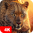 Animal Wallpapers 4K