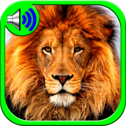 Animal Ringtones