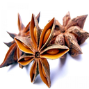 Benefits and harms of anise