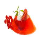 انواع ژله