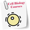 Cell Biology course